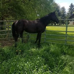 Meet your Posher, Tonya